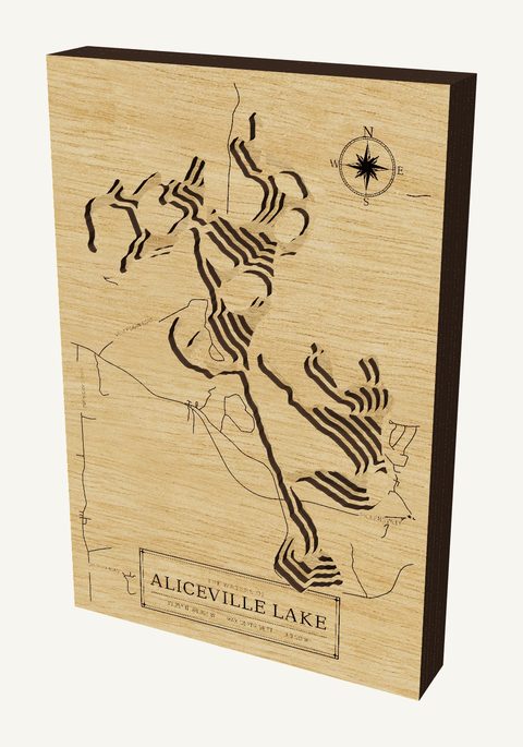Aliceville Lake wood map