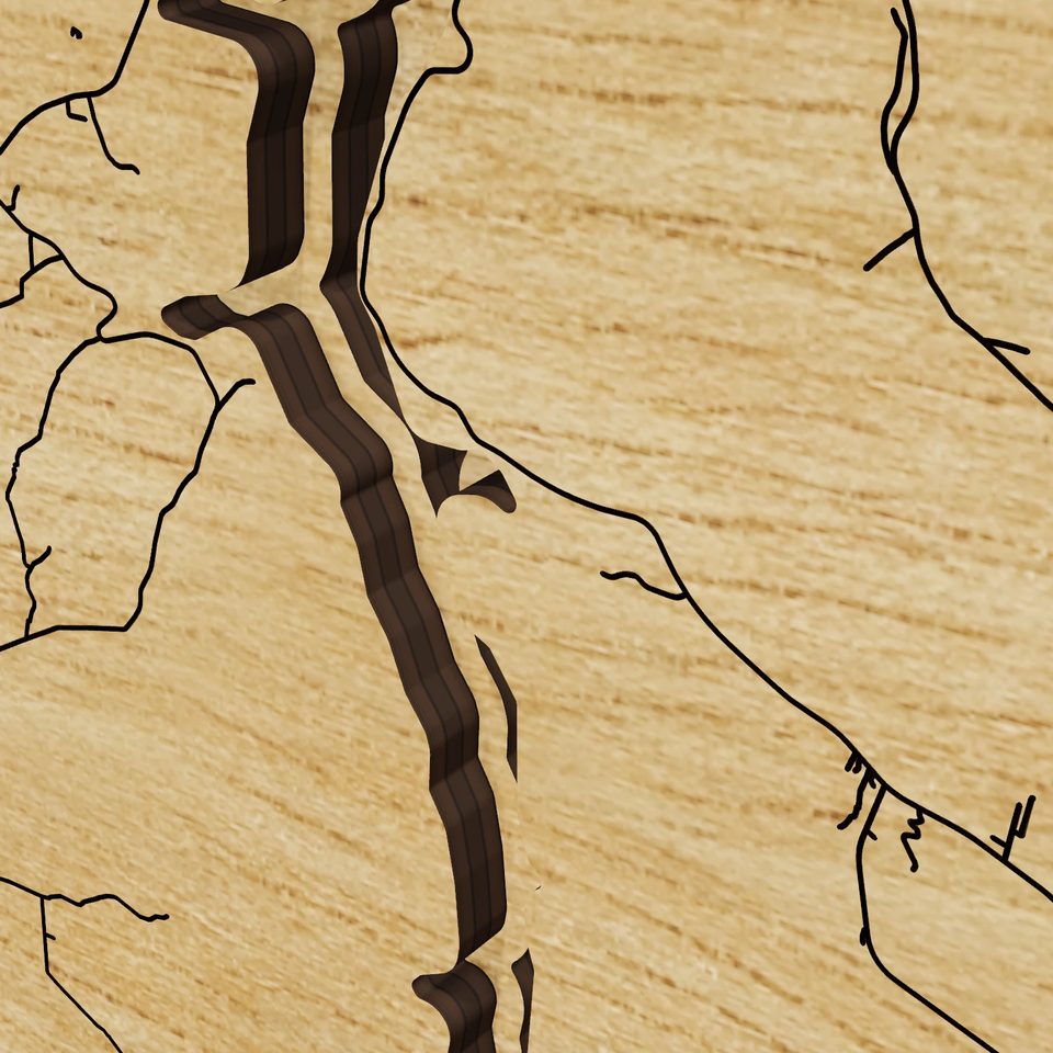 Allegheny Reservoir 3D wood map, detail view