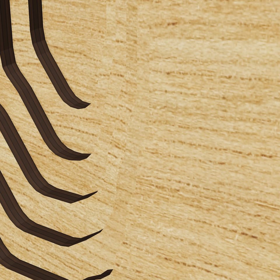 Angeline Lake 3D wood map, detail view