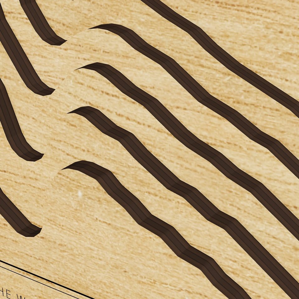 Arnold Mills Reservoir 3D wood map, detail view