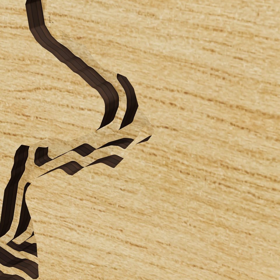 Bartlett Lake 3D wood map, detail view