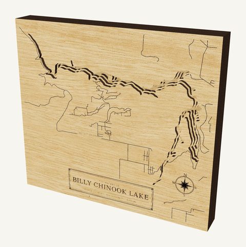 Billy Chinook Lake wood map