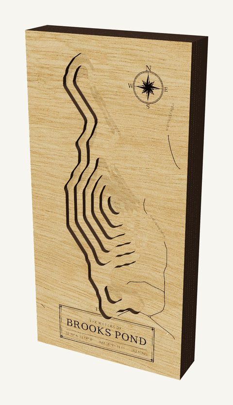 Brooks Pond wood map