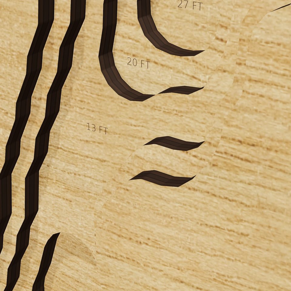 Burlingame Reservoir 3D wood map, detail view