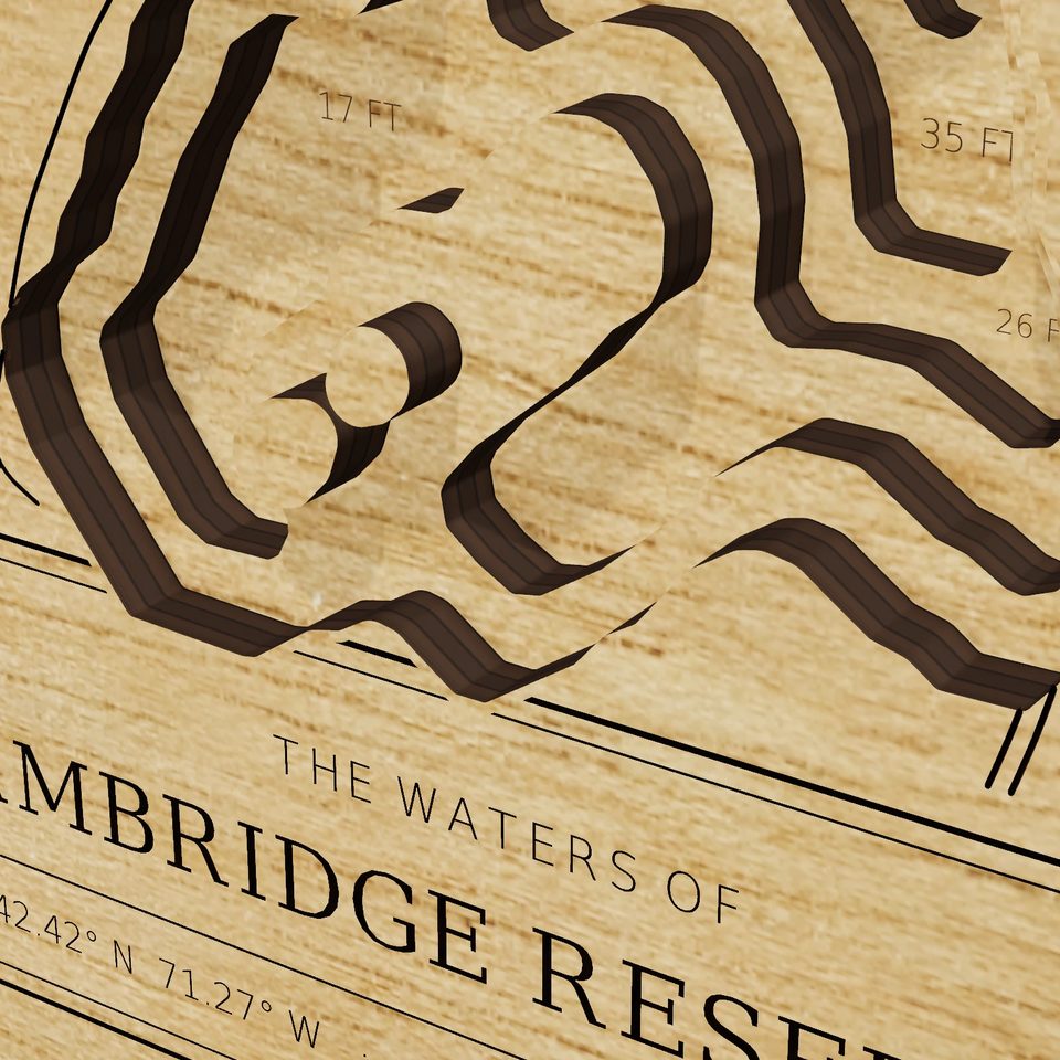 Cambridge Reservoir 3D wood map, detail view