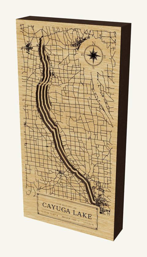 Cayuga Lake wood map