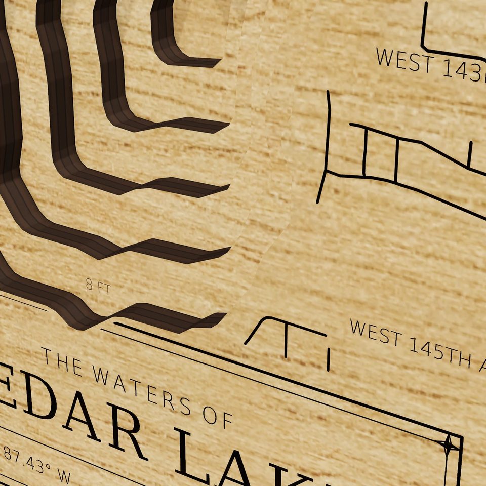 Cedar Lake 3D wood map, detail view