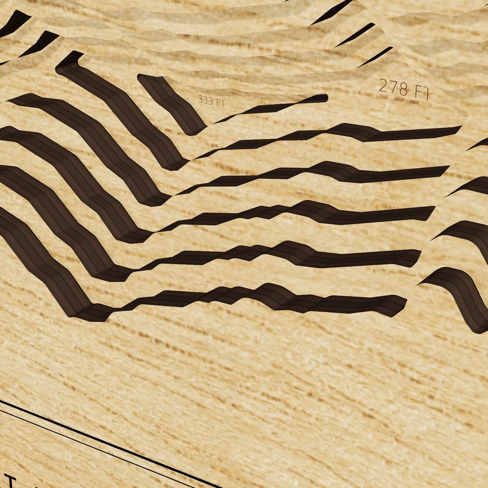 Chakachamna Lake 3D wood map, detail view