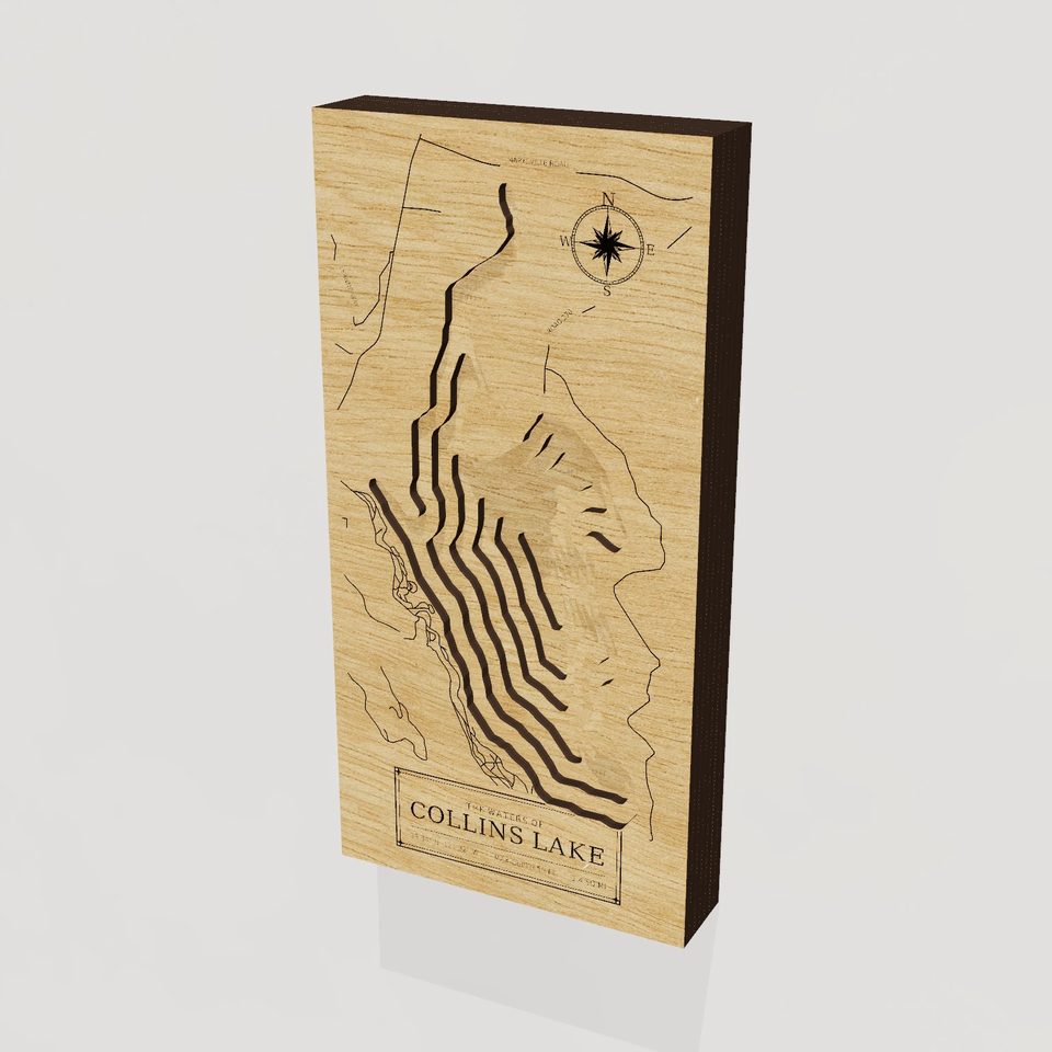 Collins Lake 3D wood map, hero view