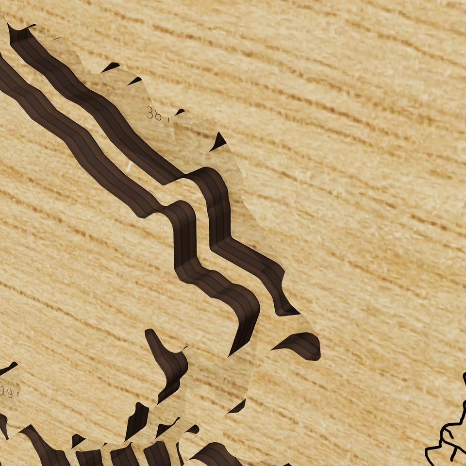 Don Pedro Reservoir 3D wood map, detail view