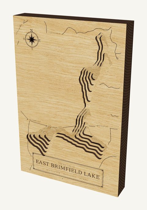 East Brimfield Lake wood map
