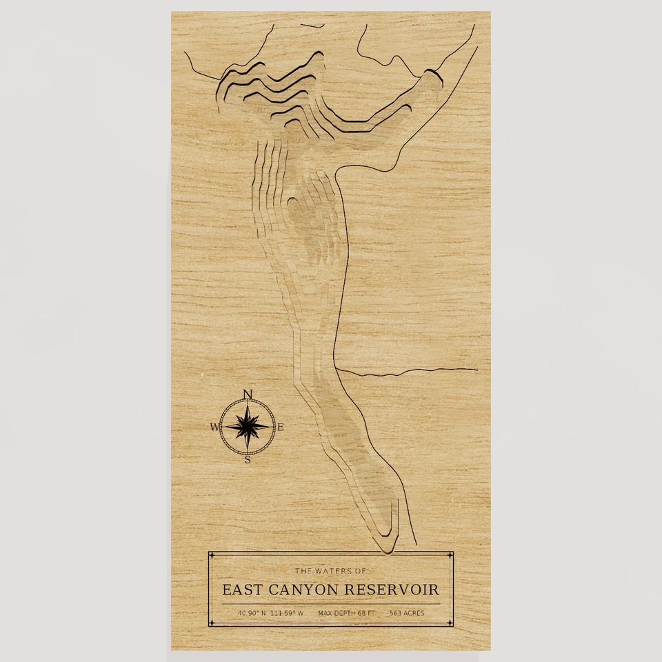 East Canyon Reservoir 3D wood map, front view