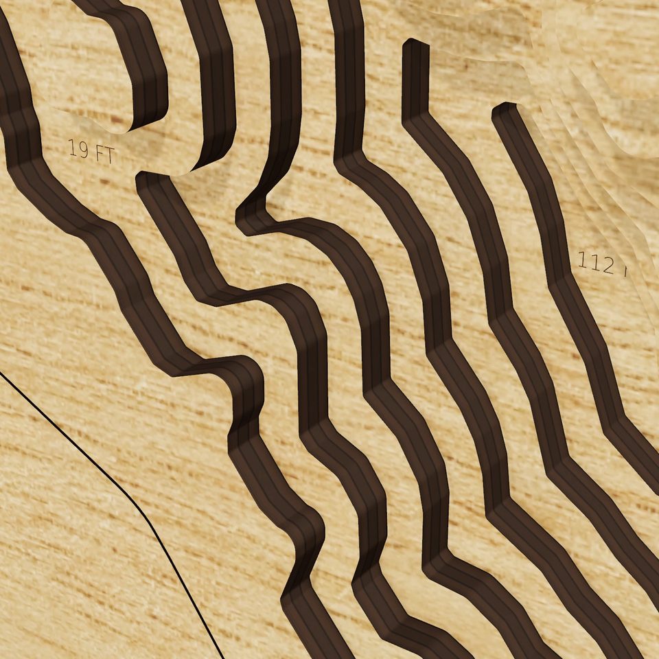Elevenmile Canyon Reservoir 3D wood map, detail view