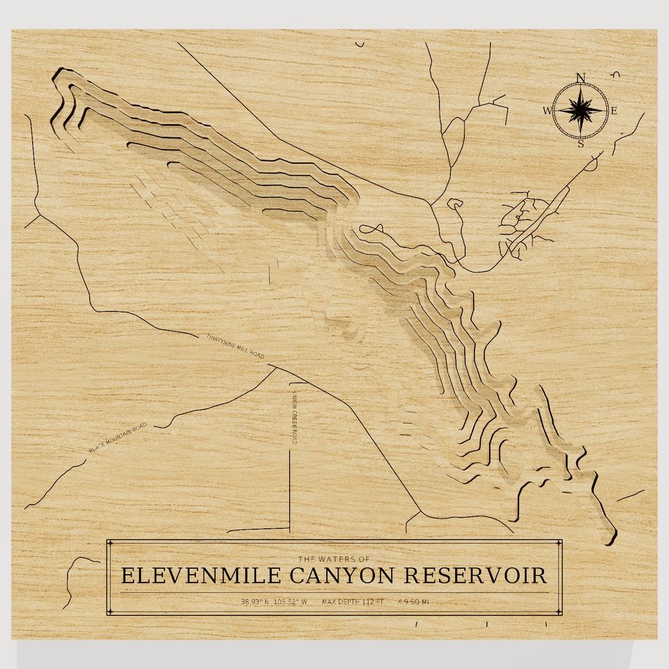 Elevenmile Canyon Reservoir 3D wood map, front view