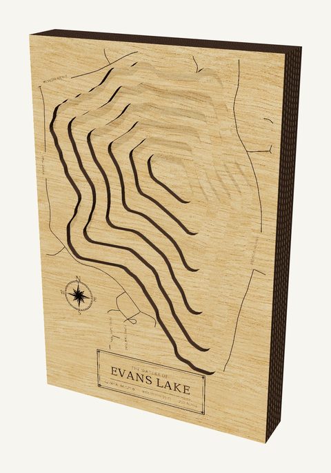 Evans Lake wood map