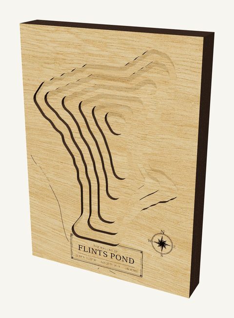 Flints Pond wood map