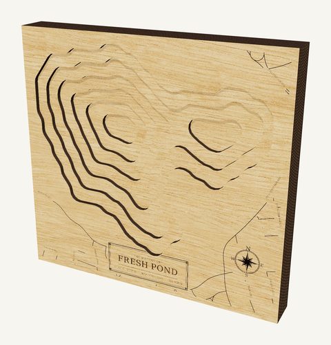 Fresh Pond wood map