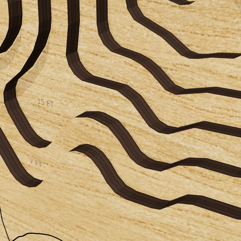 Gallows Pond 3D wood map, detail view