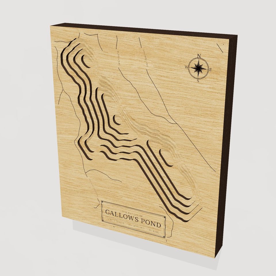 Gallows Pond 3D wood map, hero view