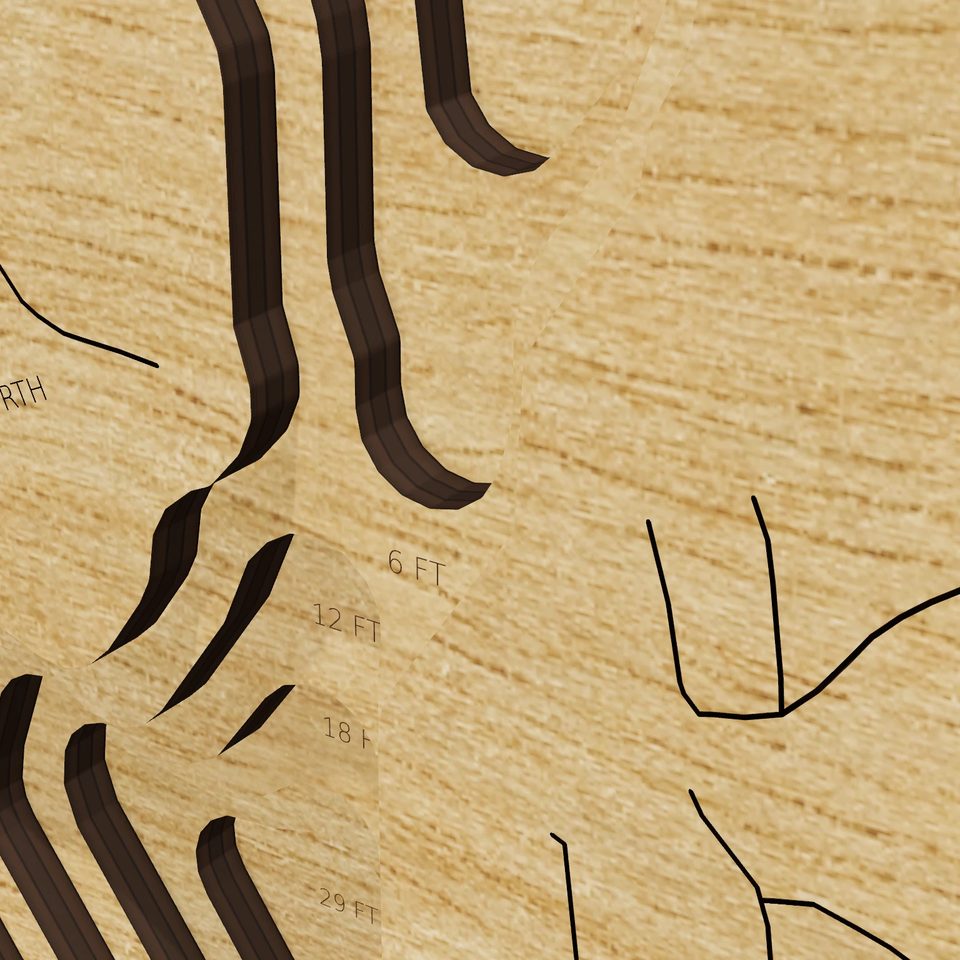 Gleason Lake 3D wood map, detail view