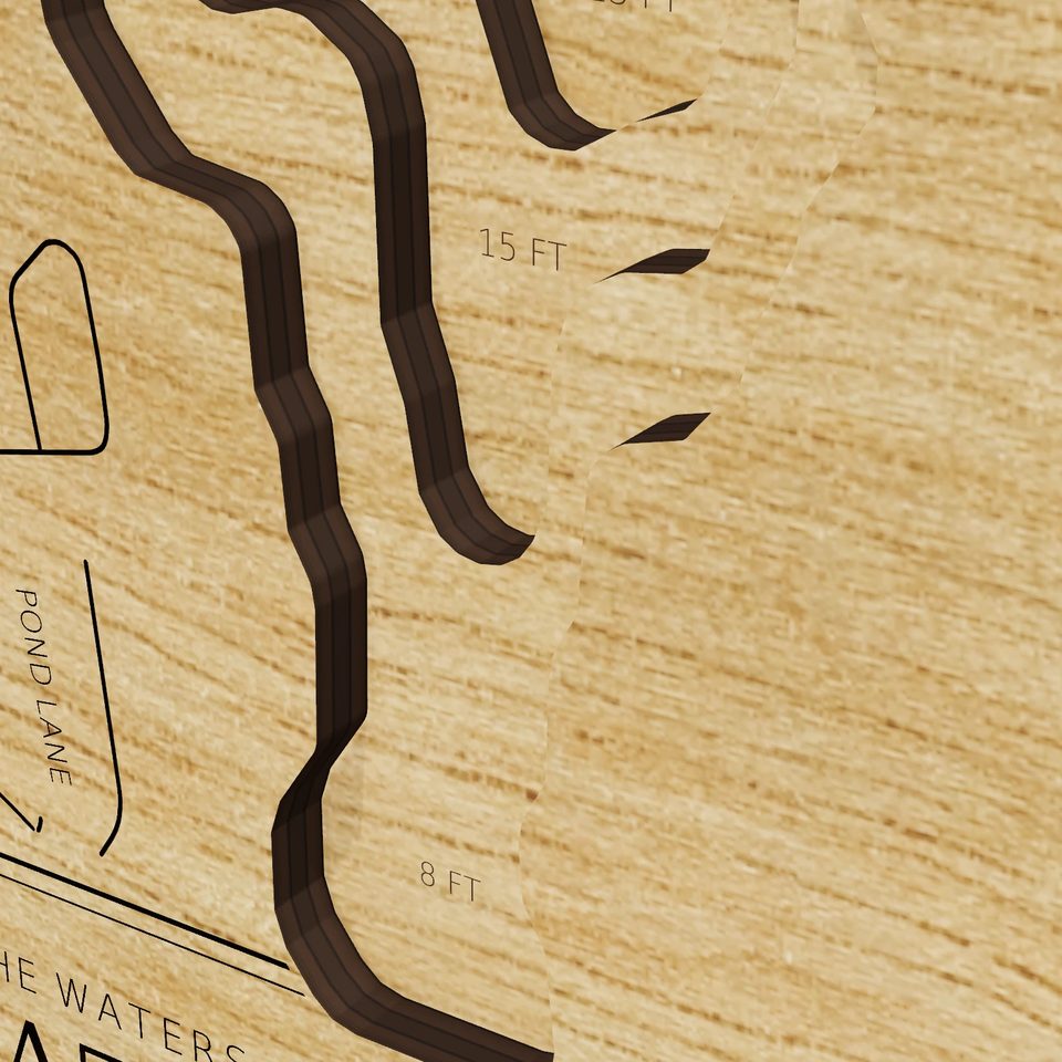 Great Pond 3D wood map, detail view