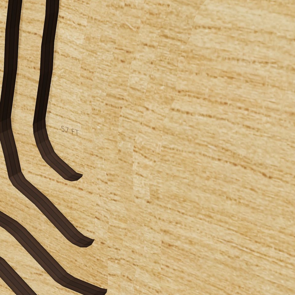 Greenwood Lake 3D wood map, detail view
