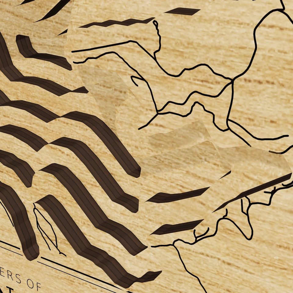 Hayden Lake 3D wood map, detail view