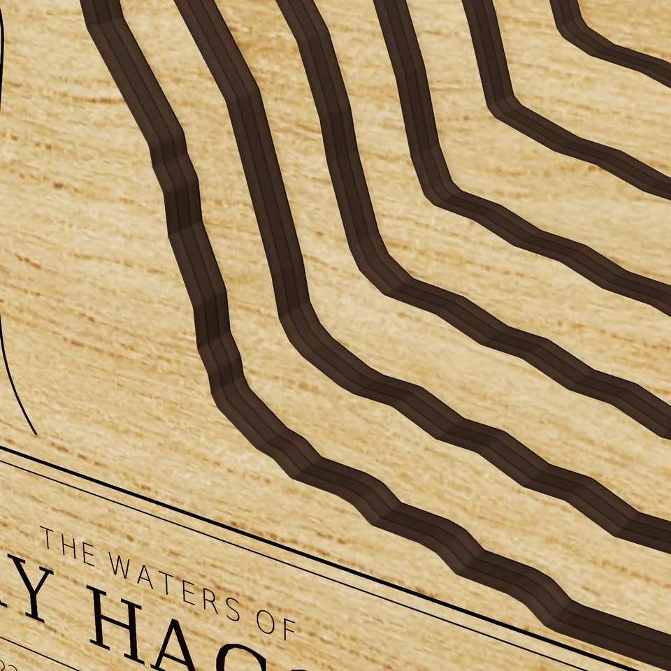 Henry Hagg Lake 3D wood map, detail view
