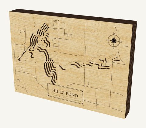 Hills Pond wood map