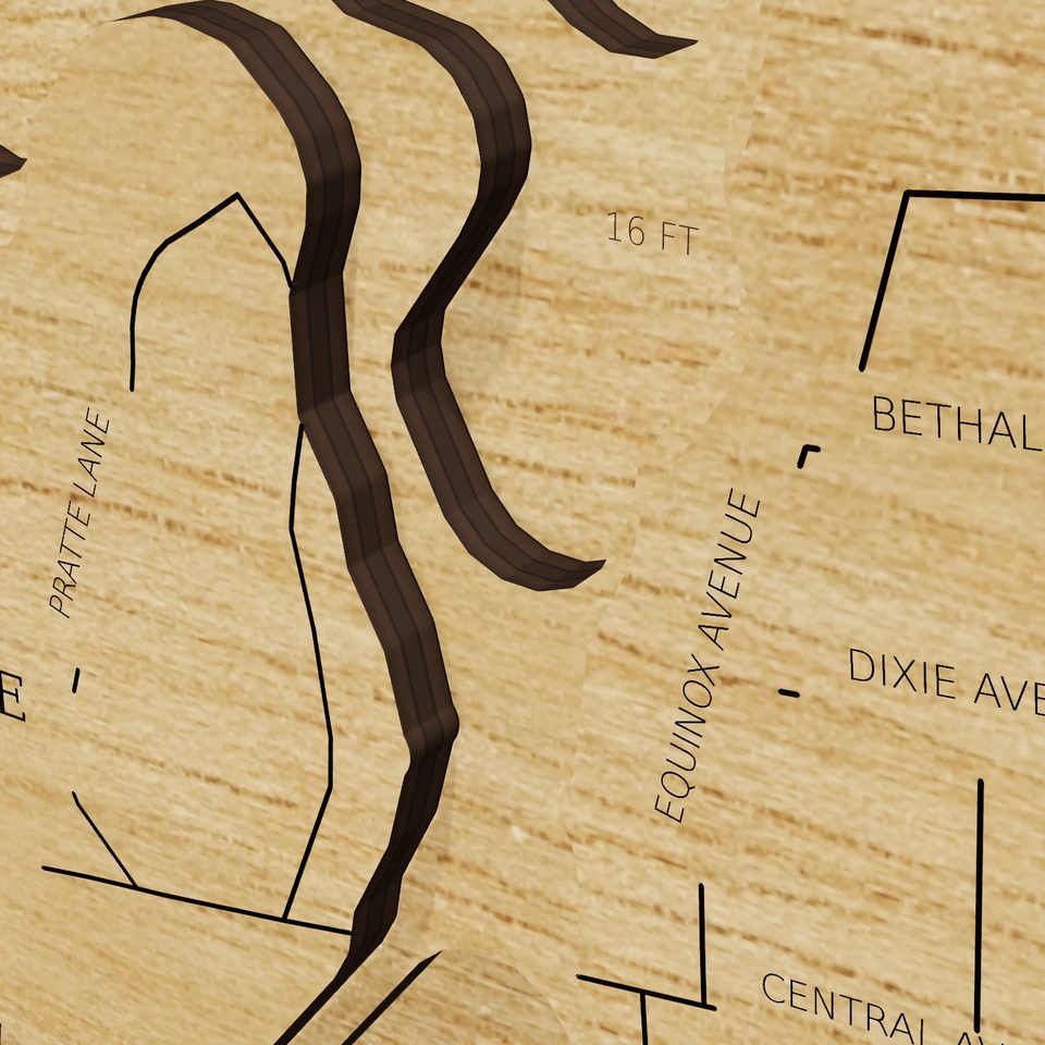 Hitchcock Lake 3D wood map, detail view