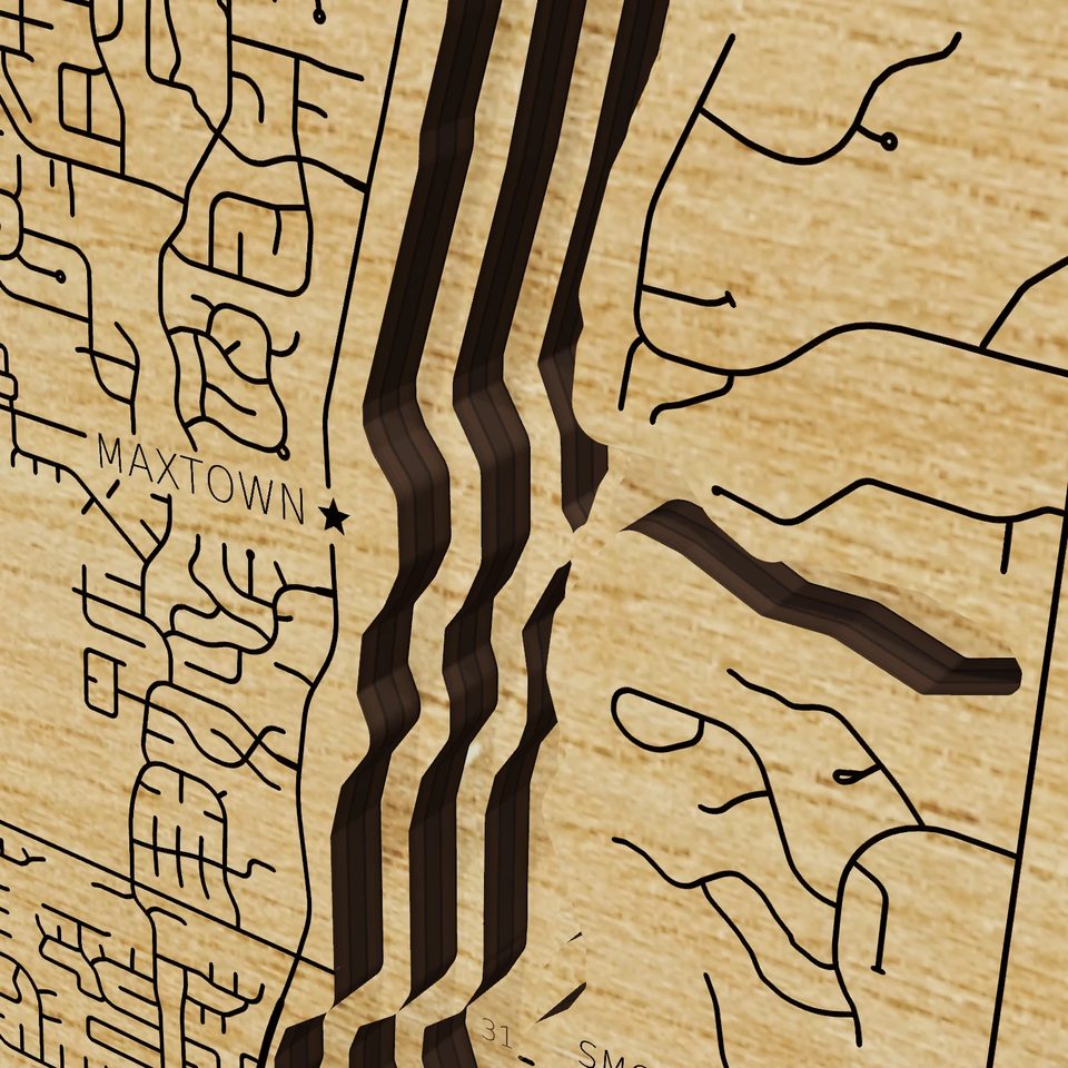 Hoover Reservoir 3D wood map, detail view