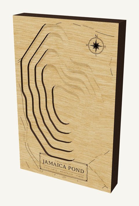 Jamaica Pond wood map