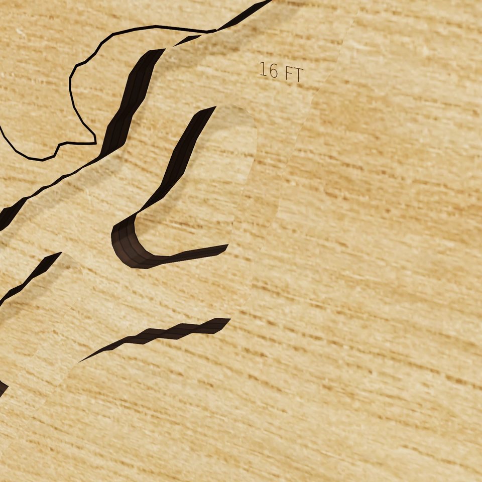 Jenkinson Lake 3D wood map, detail view