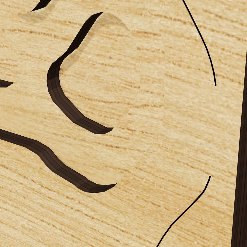 Jenness Pond 3D wood map, detail view