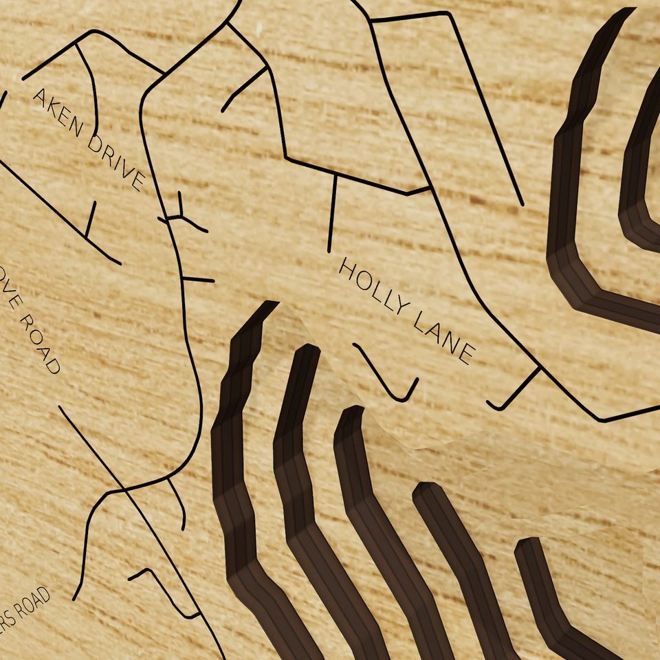 Kings Mountain Reservoir 3D wood map, detail view