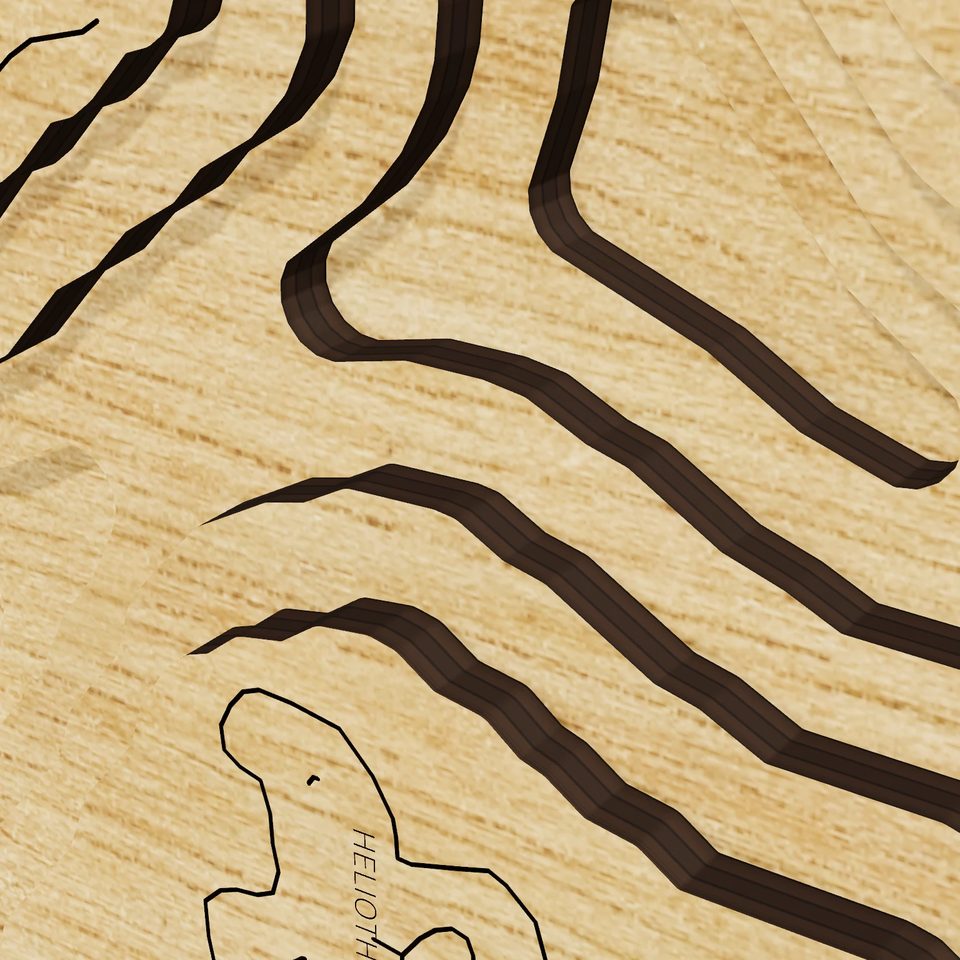 Lake Arrowhead 3D wood map, detail view