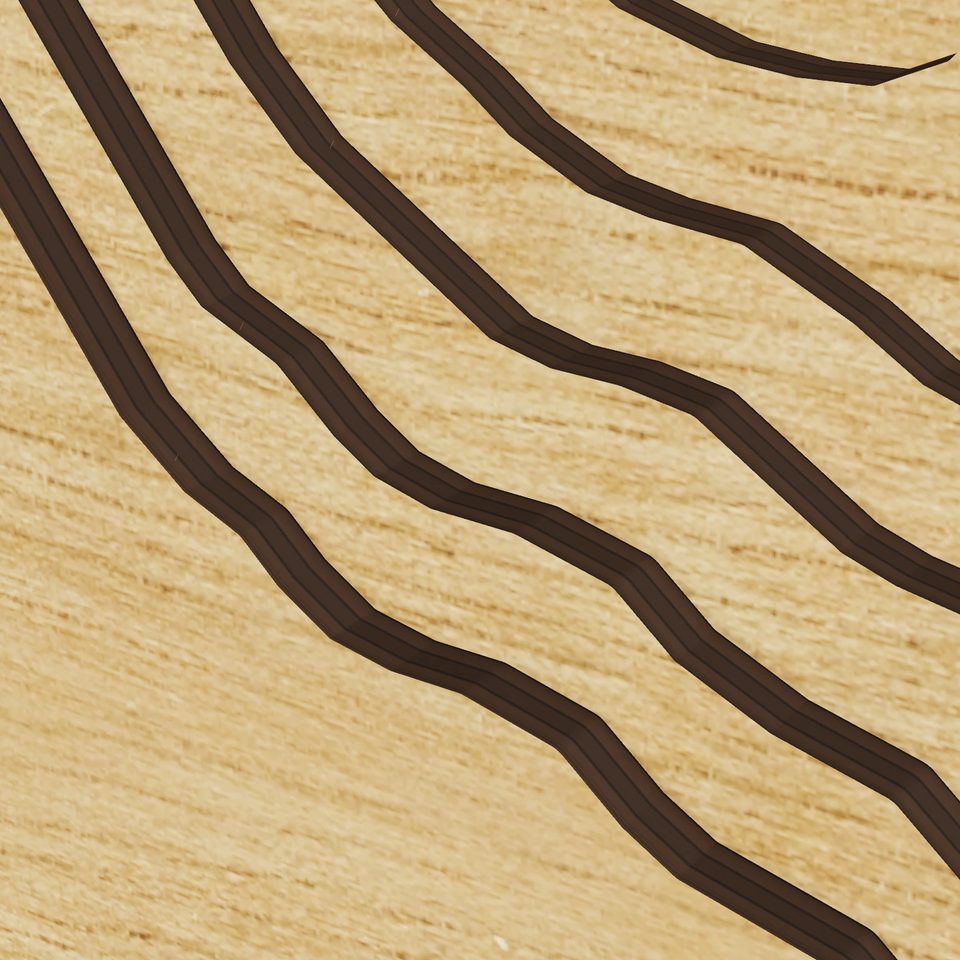 Lake Carey 3D wood map, detail view