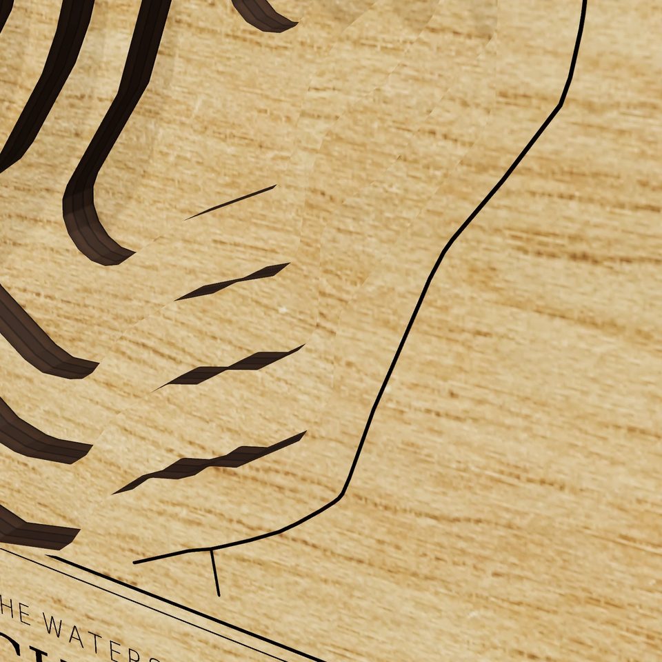 Lake Charlotte 3D wood map, detail view