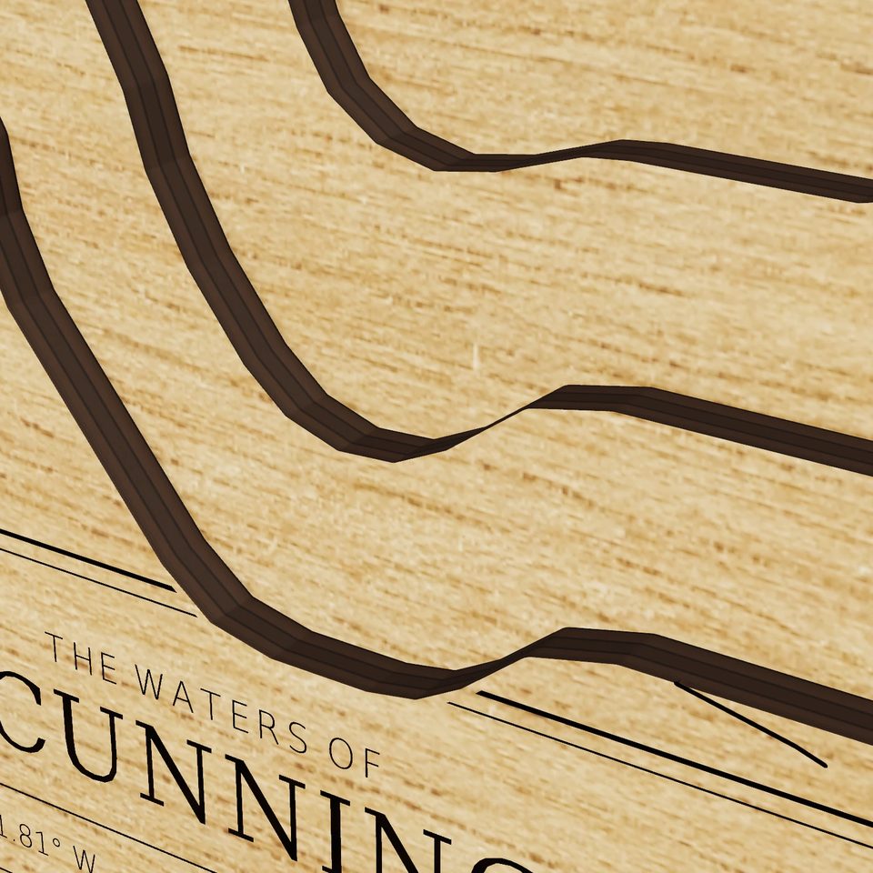 Lake Cunningham 3D wood map, detail view