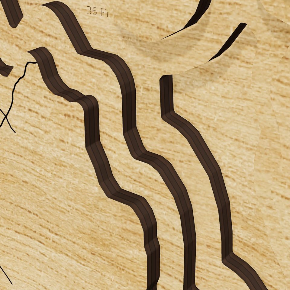 Lake Davis 3D wood map, detail view