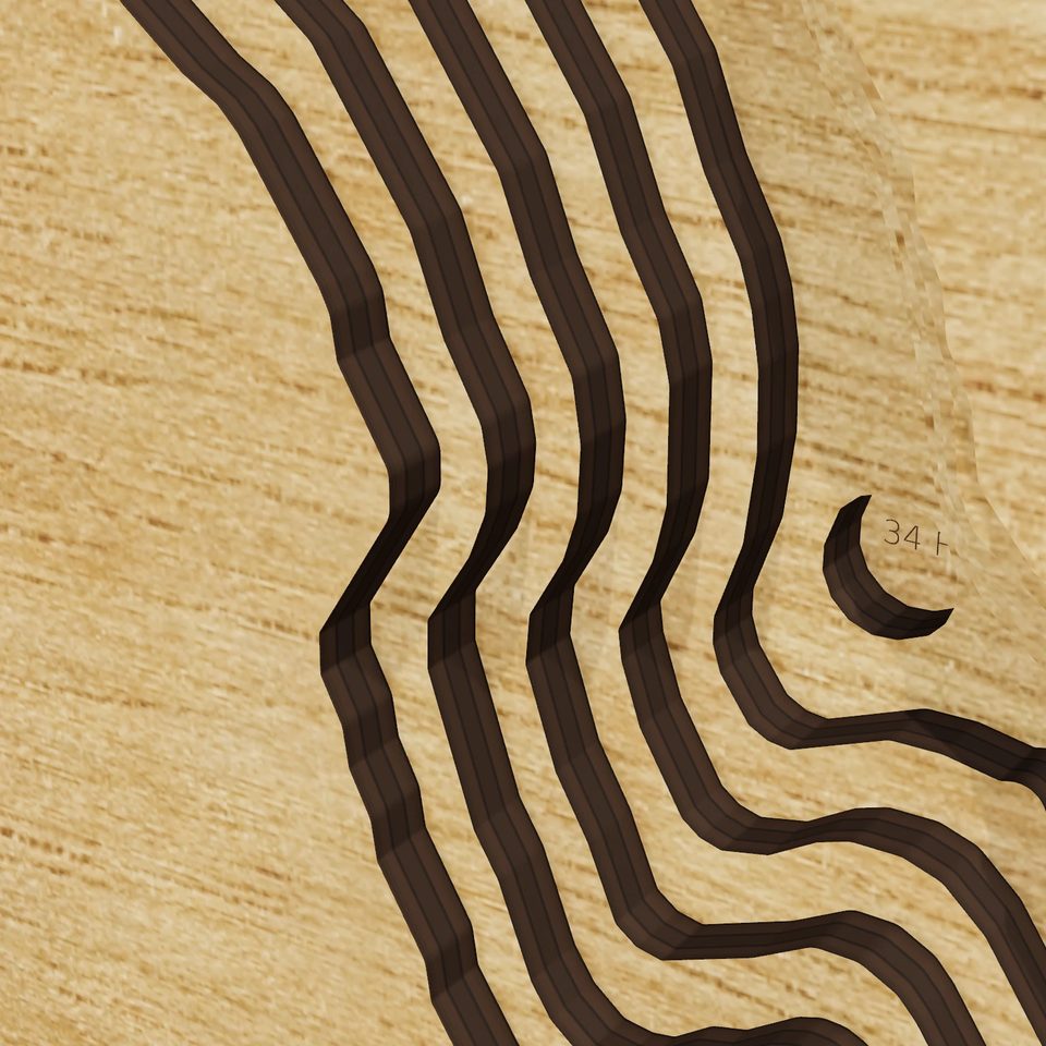 Lake Dorothy 3D wood map, detail view