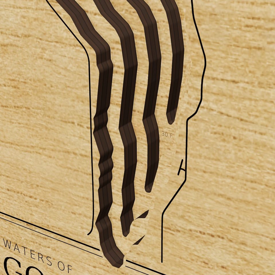 Lake Gogebic 3D wood map, detail view