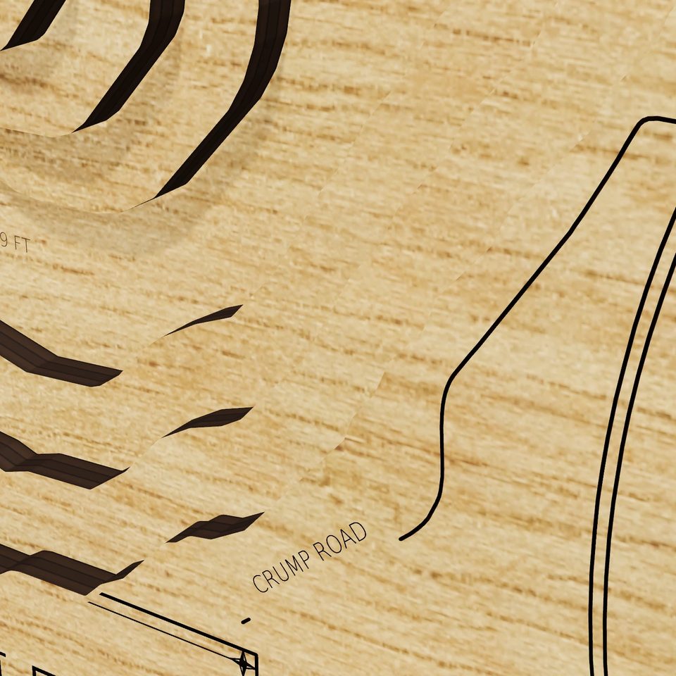 Lake Hamilton 3D wood map, detail view