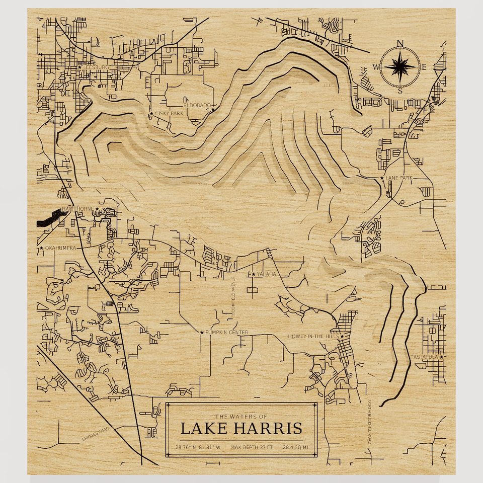 Lake Harris 3D wood map, front view