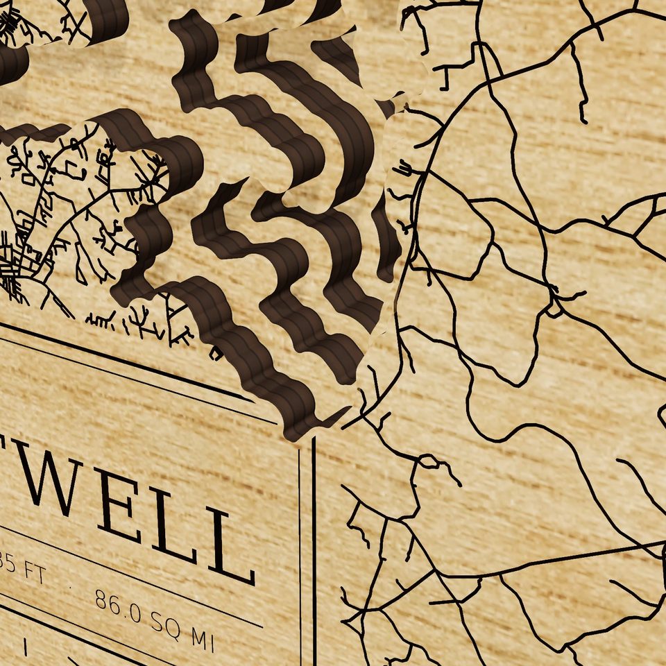 Lake Hartwell 3D wood map, detail view