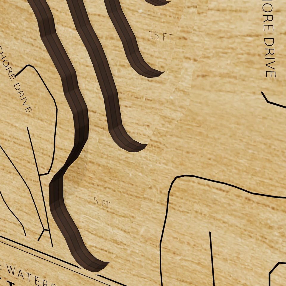 Lake Hayward 3D wood map, detail view