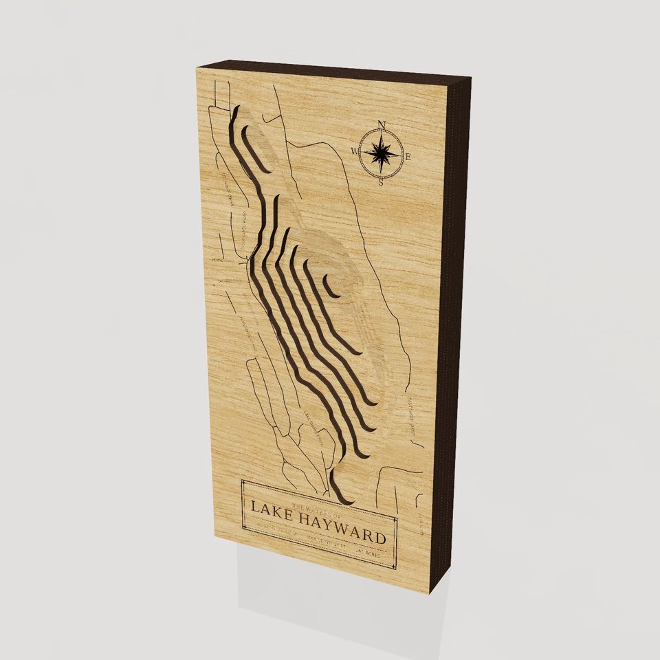 Lake Hayward 3D wood map, hero view