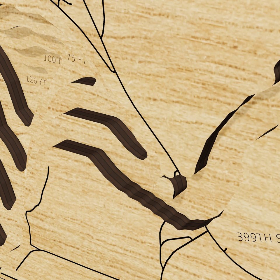 Lake Koronis 3D wood map, detail view