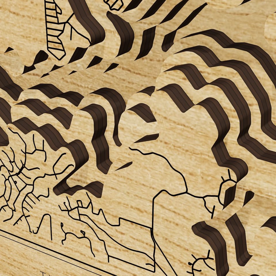 Lake LBJ 3D wood map, detail view