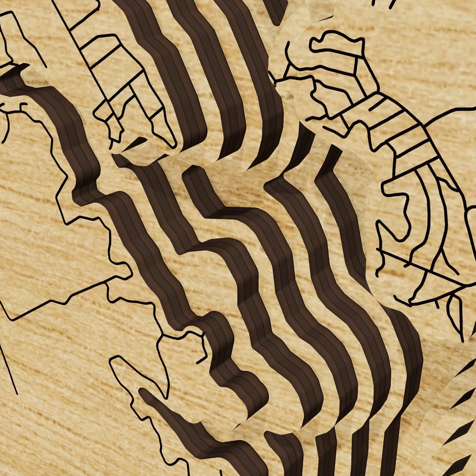 Lake Limestone 3D wood map, detail view